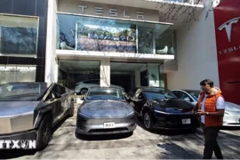 Tesla giữ ngôi vương xe nhập khẩu tại Hàn Quốc