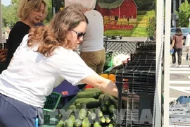Lương thực tế của người lao động Mỹ tăng trở lại