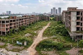 Đánh thuế đất bỏ hoang và bài toán đặt ra