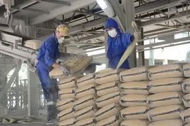 Ngành xi măng tìm lời giải cho bài toán phát thải và hạn ngạch carbon