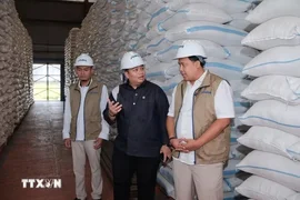 Indonesia thu mua hơn 4 triệu tấn gạo trong nước, vượt mục tiêu cả năm
