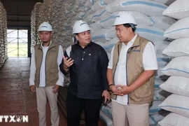 Indonesia thu mua hơn 4 triệu tấn gạo trong nước, vượt mục tiêu cả năm