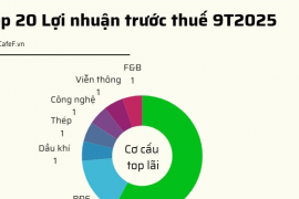 20 DN niêm yết có lợi nhuận trước thuế lớn nhất năm 2025: VinHomes vượt qua loạt ngân hàng giữ vị trí đầu bảng, 2 doanh nghiệp BĐS tăng trên 1.000%