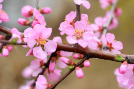 Thị trường chứng khoán Việt Nam thường diễn biến ra sao trong tháng 2?