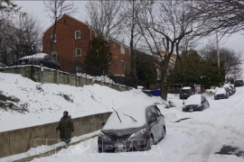 Điểm tin kinh tế thế giới nổi bật ngày 10/2/2026