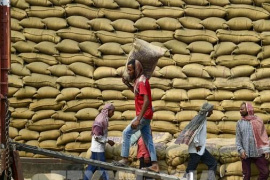 Giá gạo Ấn Độ và Thái Lan ít biến động trước thềm Tết Nguyên đán