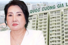 Quốc Cường Gia Lai báo lãi đột biến gấp đôi dù doanh thu giảm 76%, bà Nguyễn Thị Như Loan vẫn nợ 11 tỷ đồng
