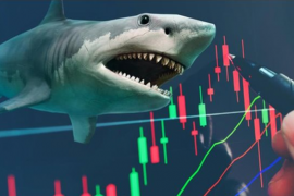 Khối quỹ ngoại cơ cấu danh mục ra sao trước kỳ nghỉ Tết?