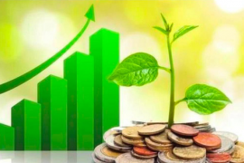 Lịch chốt quyền cổ tức tuần 2/3– 6/3: Cổ tức tiền mặt cao nhất 100%