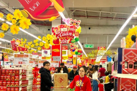 Giám sát thực tế công tác quản lý, bình ổn giá dịp Tết Bính Ngọ 2026