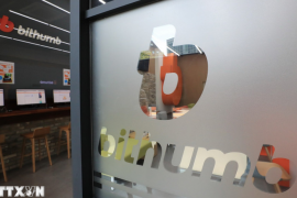 Hàn Quốc ứng phó khẩn với vụ chuyển nhầm 620.000 bitcoin