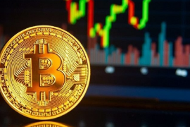 Lịch sử cho thấy Bitcoin và tài sản rủi ro thường suy yếu theo chu kỳ 4 năm, 2026 có lặp lại kịch bản cũ?