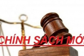 Những chính sách mới có hiệu lực từ tháng 3/2026