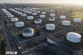 Nhật Bản ủng hộ kế hoạch xả kho dự trữ dầu của IEA để ổn định thị trường