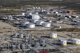 Mỹ tạm thời cho phép mua dầu Nga trên biển