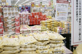 Thị trường nông sản: Giá gạo châu Á chịu sức ép từ chi phí vận tải