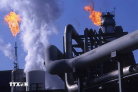 Giá dầu giảm hơn 13% sau quyết định hoãn chiến tranh của Mỹ với Iran