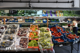 Eurozone đối mặt nguy cơ lạm phát đình trệ