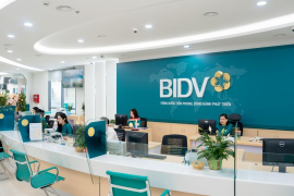 BIDV hoàn tất chào bán cổ phiếu riêng lẻ, nâng vốn lên gần 73.000 tỷ đồng