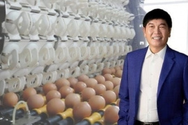 Nông nghiệp Hòa Phát đặt kế hoạch giảm 37% lợi nhuận, trả cổ tức 30%