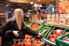 ECB: Người tiêu dùng và nhà nhập khẩu Mỹ chịu thiệt hại chính từ thuế quan