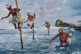 VinaCapital: Bất kỳ nhịp sụt giảm đáng kể nào của VN-Index đều là cơ hội mua vào