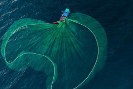 Loạt dự báo bất ngờ về thị trường chứng khoán sau phiên giảm điểm kỷ lục