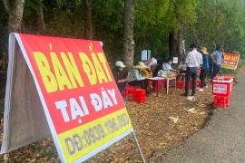 Đầu cơ gặp khó, nhà đầu tư nên “tính chuyện đường dài”