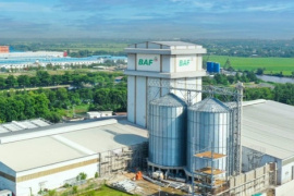 BAF muốn chia thưởng và trả cổ tức 20%, đưa CEO Siba Holdings vào Hội đồng quản trị