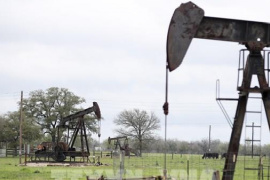 Mỹ lập kỷ lục về xuất khẩu dầu