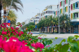 Các 'huyền thoại' ngành sản xuất của Việt Nam như Hòa Phát, Tân Á Đại Thành, Bitis, KIDO đang làm bất động sản ra sao?