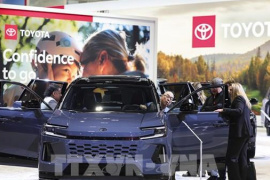 Toyota xác lập kỷ lục mới về doanh số toàn cầu