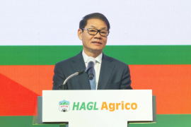 Tỷ phú Trần Bá Dương muốn bán 20% vốn HAGL Agrico dù đang lỗ lũy kế 10.000 tỷ