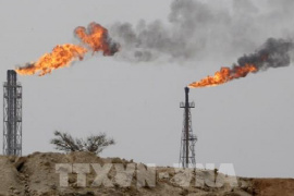 Giá dầu giảm nhẹ sau quyết định rời OPEC của UAE