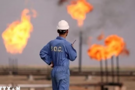 Các thành viên OPEC+ không có ý định rời khỏi OPEC+ như UAE