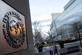 IMF cảnh báo khủng hoảng thị trường từ hệ thống tài chính mã hóa