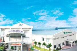 Cổ phiếu Dược phẩm Cửu Long (DCL) bị bán tháo phiên thứ 2 liên tiếp, ngay sau đỉnh lịch sử