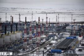 Giá dầu Nga đạt đỉnh 13 năm do xung đột Trung Đông ảnh hưởng nguồn cung