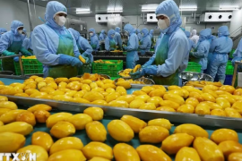 WB: Việt Nam là một điển hình về khả năng biến thách thức thành cơ hội