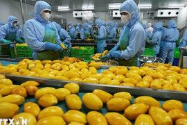 WB: Việt Nam là một điển hình về khả năng biến thách thức thành cơ hội