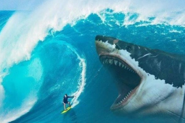 Góc nhìn chuyên gia: VN-Index khó tăng bền vững nếu không có một nhịp chỉnh lành mạnh trước