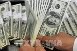 Nhu cầu trú ẩn an toàn gia tăng thúc đẩy đà đi lên của đồng USD