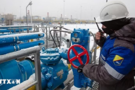 EU nhập lượng khí đốt kỷ lục từ Nga trong quý I/2026
