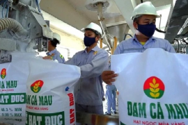 Hưởng lợi lớn từ “cơn sốt” urê toàn cầu, Đạm Cà Mau (DCM) báo lãi đột biến trong quý 1