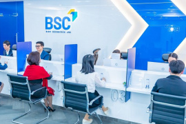 BSC phát hành hơn 24,5 triệu cổ phiếu trả cổ tức