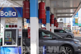 Lo ngại tiến trình đàm phán Mỹ-Iran, giá dầu ghi nhận tuần đi xuống