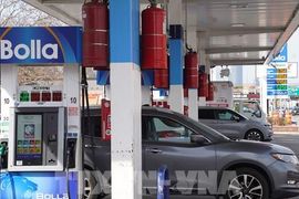 Lo ngại tiến trình đàm phán Mỹ-Iran, giá dầu ghi nhận tuần đi xuống