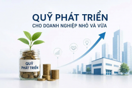 Đề xuất cơ chế tái bảo lãnh đến 70%: "Phao cứu sinh" mới cho các doanh nghiệp nhỏ và vừa