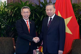 Tổng Bí thư, Chủ tịch nước Tô Lâm tiếp các doanh nghiệp lớn của Singapore