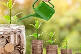 Một công ty chốt ngày trả cổ tức tiền mặt tỷ lệ 20,22%